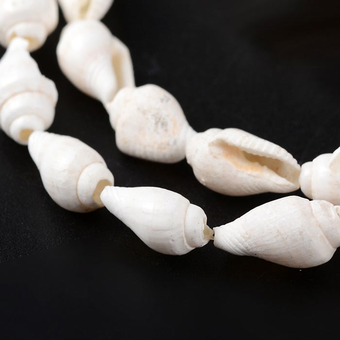 Conches, white, drilled-through, hole_ 0,3mm, approx. 10x8mm, 20pcs.