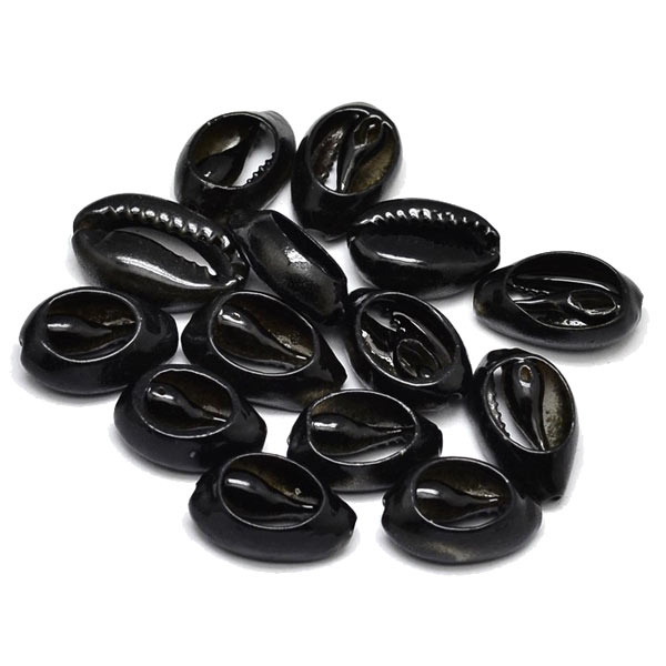 Cowrie shell, black, sliced, approx. 16-18x10mm, 10pcs