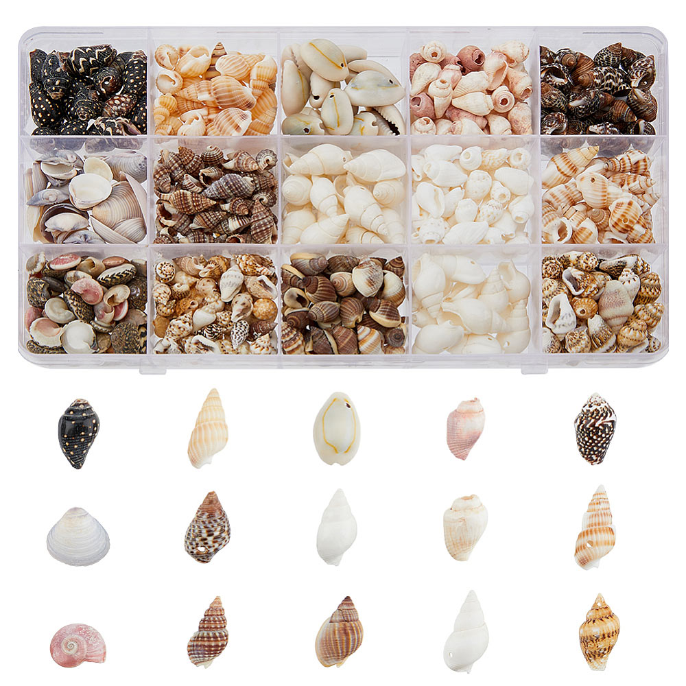 Large shell and conch set in box with 15 compartments, mixed colours and sizes.