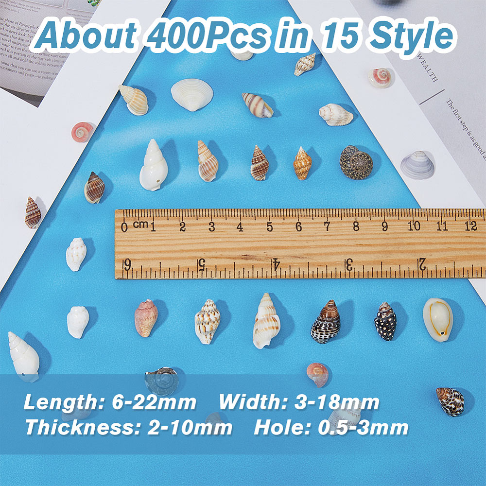 Large shell and conch set in box with 15 compartments, mixed colours and sizes.