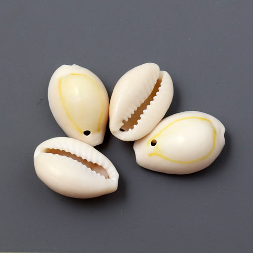 Cowrie shell, oval, natural white. Please note: 1 hole at the bottom, approx. 16-20x10-13mm, 10pcs