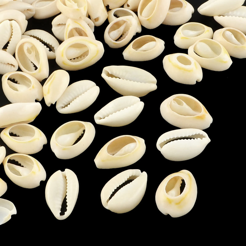 Oval Cowrie shell, natural white, dyed, sliced, approx. 20-24x14mm, 6pcs
