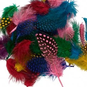 Feathers