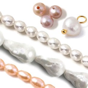 Freshwater Pearls & Seashells