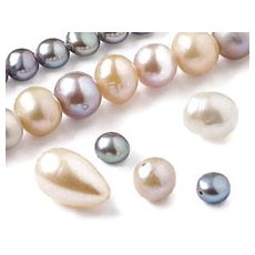 Freshwater Pearls & Seashells