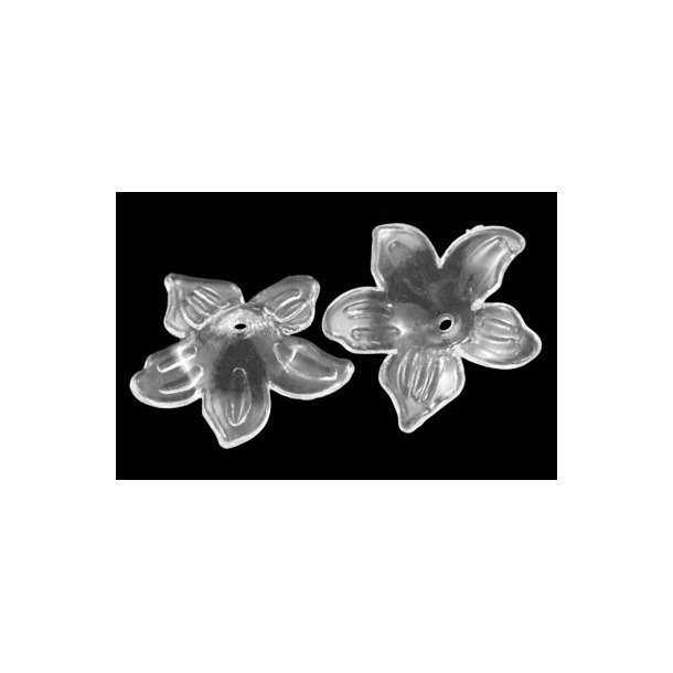 Akryl, orkide blomst, blank ufarvet, 27x7mm, 6stk