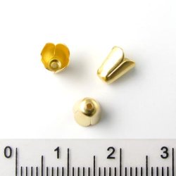 Tulpen Perlenschalen, vergoldetes Messing, matt, 7x6 mm, 6 Stk.