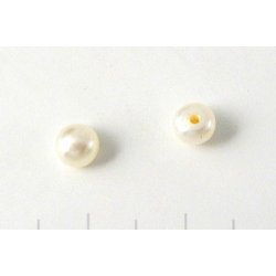 Swasserperlen, wei, flache Rckseite, angebohrt, 5 mm, A-grade, 2 Stck