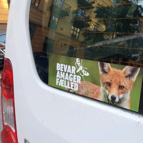 Gratis! klistermrke, Amager Flleds Venner, lang, 27x8,5 cm, 1 stk