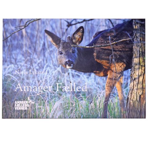 Fotografisk og fortællende bog om Amager Fælled af Niels Lykstad