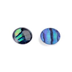  Abelone-Muschel-Cabochon (flache R&uuml;ckseite), blau-gr&uuml;n, rund, 8 mm, 2 St&uuml;ck.