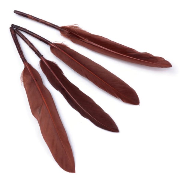 Goose feather, dyed, warm brown, length approx. 12-16 cm, 20 pcs