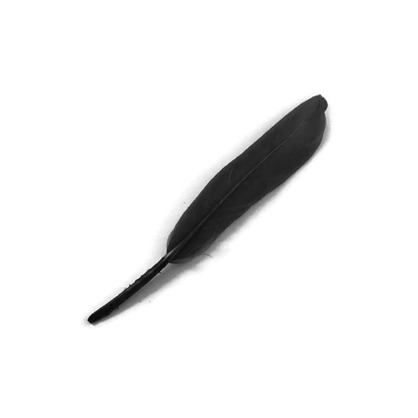 Goose feather, dyed, black, length approx. 12-16 cm, 20 pcs