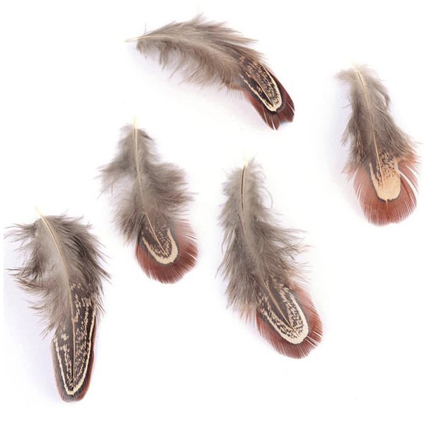 Chicken feathers, dyed, reddish brown, 7-14 cm, approx. 20pcs.