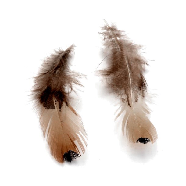 Chicken feathers, dyed, reddish brown, dotted, 7-14 cm, appx. 20pcs.