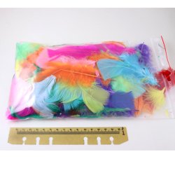 Hhnerfedern, bunt, gemischte Farben, Osterdekoration, Lnge 8-15 cm, ca. 50 Stk.