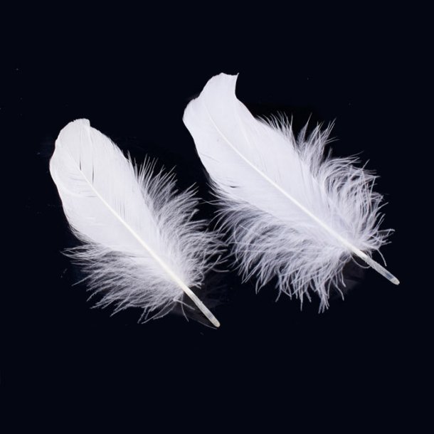Goose feathers, white, length 14-17 cm, 20 pieces.