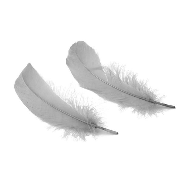 Goose feathers, dyed, light grey, length 14-17 cm, 20 pieces.
