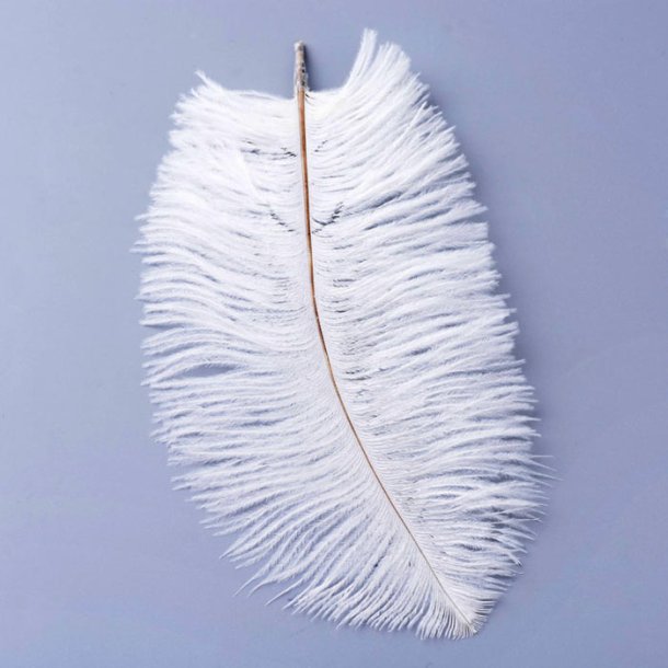 Ostrich feathers, coloured, white, length approx. 14-17 cm, 4 pcs.