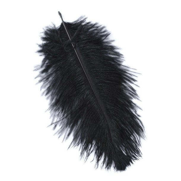  Ostrich feathers, coloured, black length approx. 14-17 cm, 6 pcs.