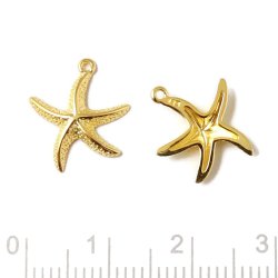 Anhnger, Seesteern mit se, vergoldetes Silber, 15x13 mm, 1 Stk