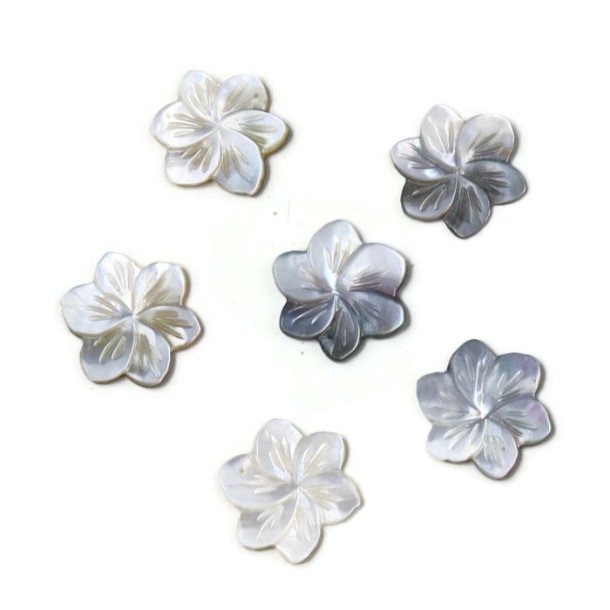 Mother of pearl flower, without hole, 19 mm, 4 pcs