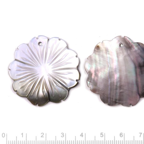 Mother-of-pearl flower, dark and white, diameter 35mm, 1.5mm hole,  1pc