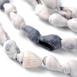 Conch beads, full strand, grey and white, through drilled, approx. 10x8mm, 135pcs.