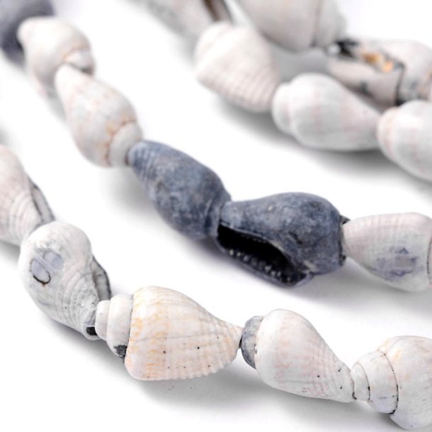 Conch beads, grey and white, through drilled, approx. 10x8mm, 20pcs.