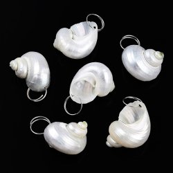 Havsneglehus vedh�ng, perlemorshvid, med 12mm �sken, ca. 27x24 mm, 2 Stk