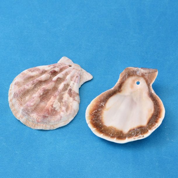 Scallop Shell Beads, natural color, with hole at the bottom, approx. 40x35mm, 6pcs.