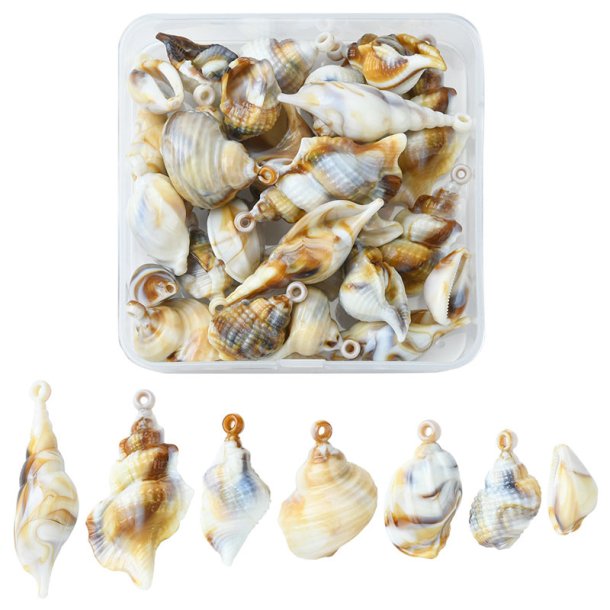 Assorted lifelike conch pendants in box, made of acrylic, mixed kinds with eye.