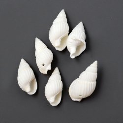 Muschelhorn mit Loch, wei&szlig;, matt, ca. 20x10 mm, 10 Stk.
