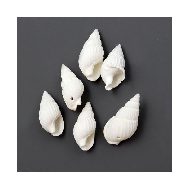 Conch, bleached white, matte, with hole at the bottom, appx. 20x10mm, 10pcs.