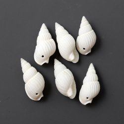 Muschelhorn mit Loch, wei&szlig;, matt, ca. 20x10 mm, 10 Stk.