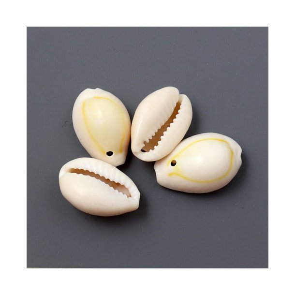 Cowrie shell, oval, naturhvid, OBS! med 1 hul i bunden, ca. 16-20x10-13 mm, 10 Stk
