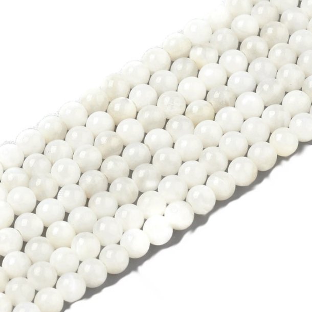 Shell beads, full strand, colored, round, white, 2.5mm, appx. 180pc