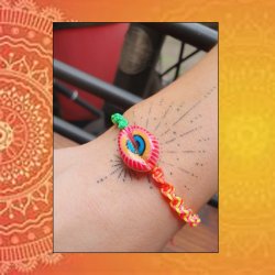 Kaurimuschel, oval, durchgeschnitten, gemischte Farben, ca. 21x10 mm, 4 St&uuml;ck