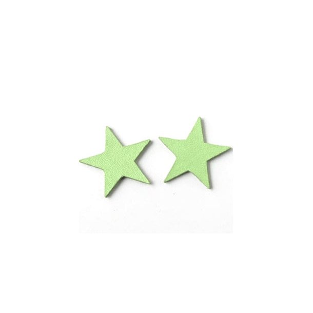 Leather star, pastel green, 17mm, 2pcs.