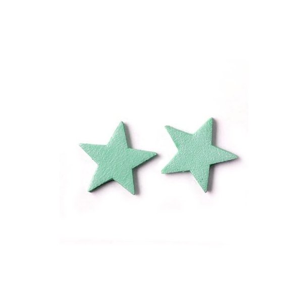 Leather star, mint green, 14 mm, 2pcs.