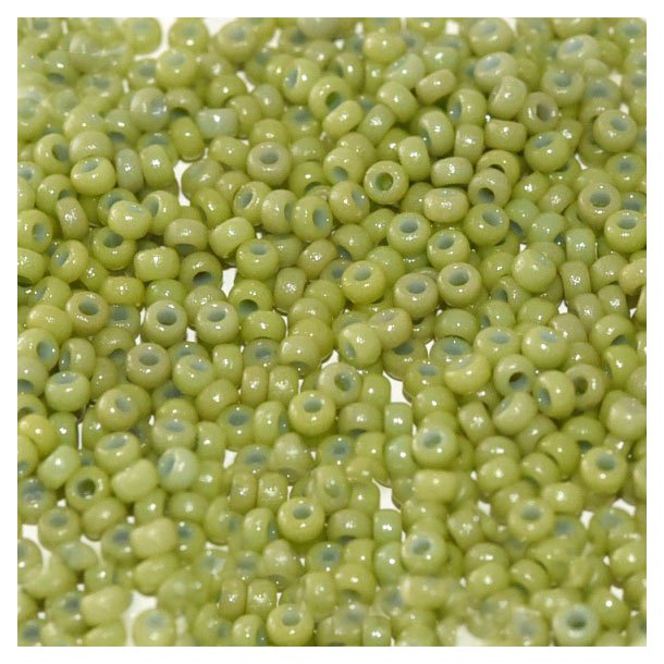 Miyuki seed bead, #15, fennel green, opaque, Duracoat, 1.5x1 mm, 22g, 5500 pcs