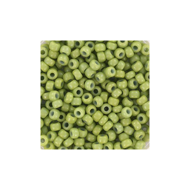 Miyuki seed bead, fennel-green #8, 3x1.8mm, ca. 480pcs. 12 gram