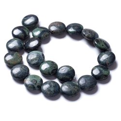 Kambaba jasper, round flat bead, green speckled, 20x8mm. 2pcs.