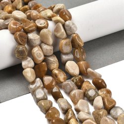 Versteinertes Korall, ungleichmige Perle, hellbraun, ca. 11x8x6 mm, ca. 44 stck
