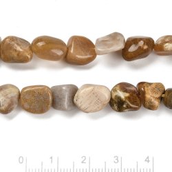 Versteinertes Korall, ungleichmige Perle, hellbraun, ca. 11x8x6 mm, ca. 44 stck