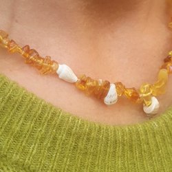 Muschelset in Box, gemischte Farben und Gren, 6 verschiedene