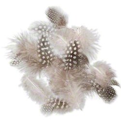 Federn, Perlhuhn, 6-10 cm, kleine T&uuml;te mit 20 Stk.