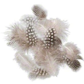 Federn, Perlhuhn, 6-10 cm, kleine Tüte mit 20 Stk.