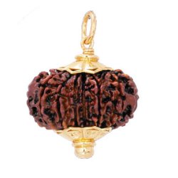 Rudraksha, nuss-perle aus Nepal, rotbraun, Durchmesser ca. 18 mm, 2 stk