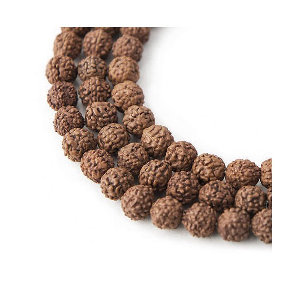 Rudraksha bead, genuine, nut shaped, brown, 8-10mm, 6pcs